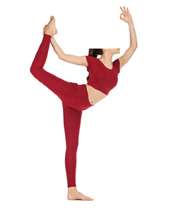 2 Piece Tracksuit Yoga Wear (ESG16333)