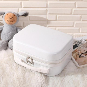  Travel Suitcase Mini Boarding 12-Inch Small Storage Box (ESG19995)