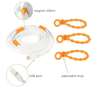  LED String Lights Portable Camping Strip Light USB Tent (ESG16081)