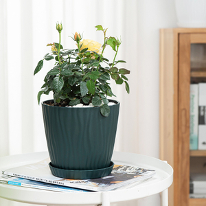 Decorative Vase with Tray (ESG20895)